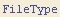 FileType